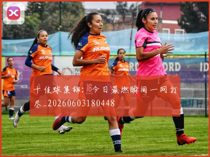 十佳球集锦:今日最燃瞬间一网打尽_20260603180448