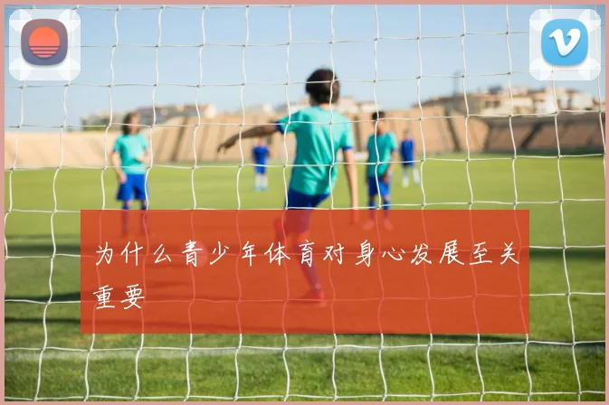 为什么青少年体育对身心发展至关重要