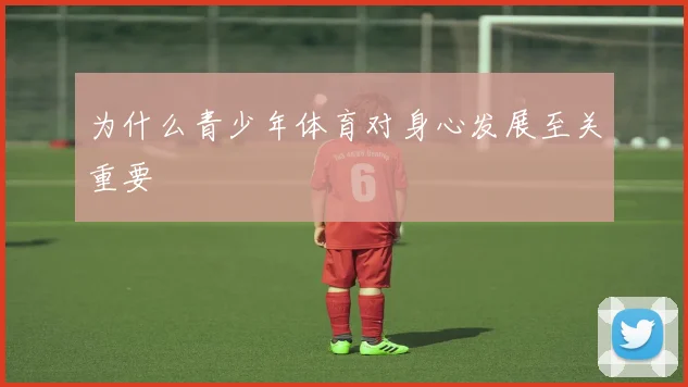 为什么青少年体育对身心发展至关重要
